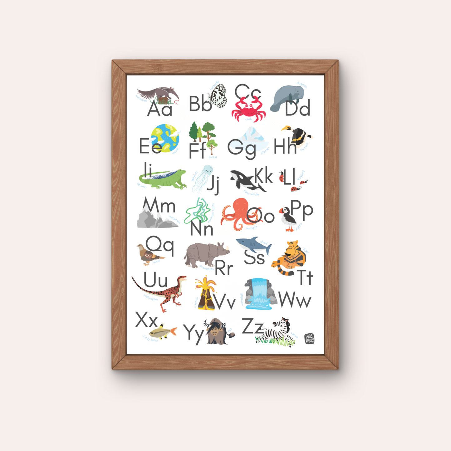 Wild Alphabets - Non Tearable Poster