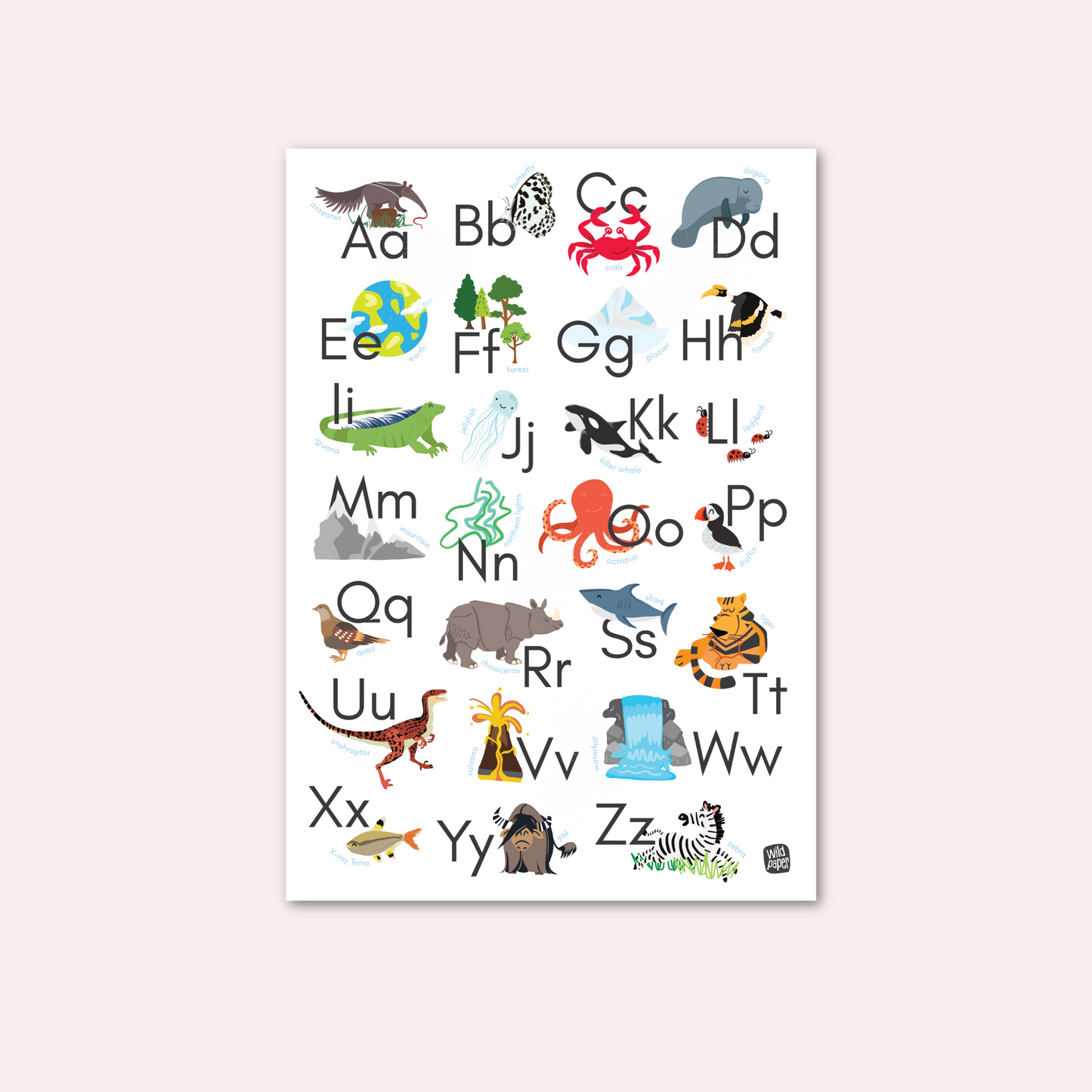 Wild Alphabets - Non Tearable Poster