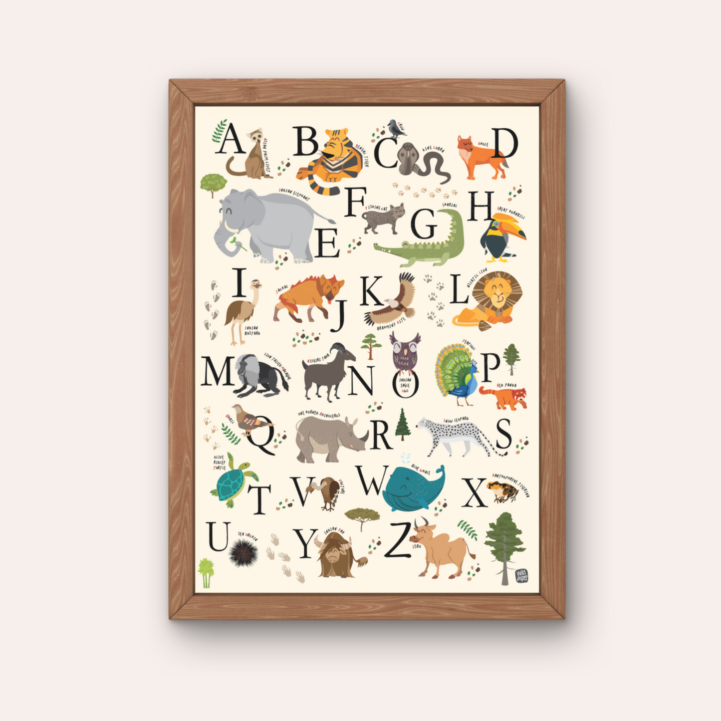 Indian Wildlife Alphabets - Non Tearable Poster