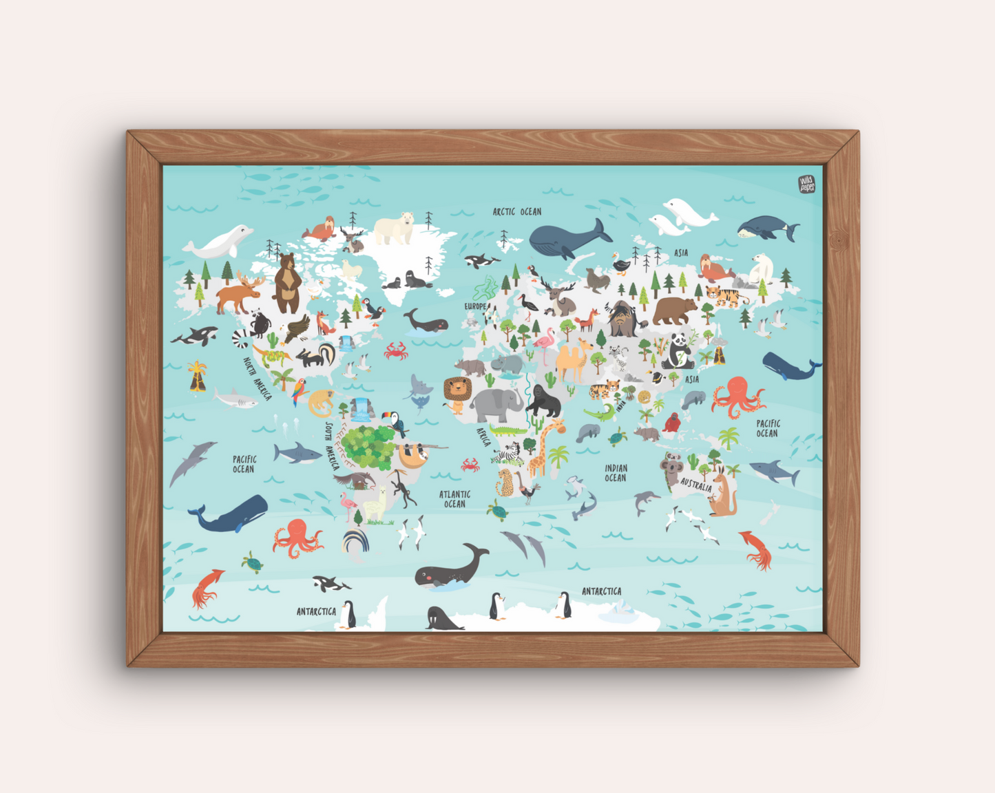 Biodiversity World Map with FREE A3 Poster - A3