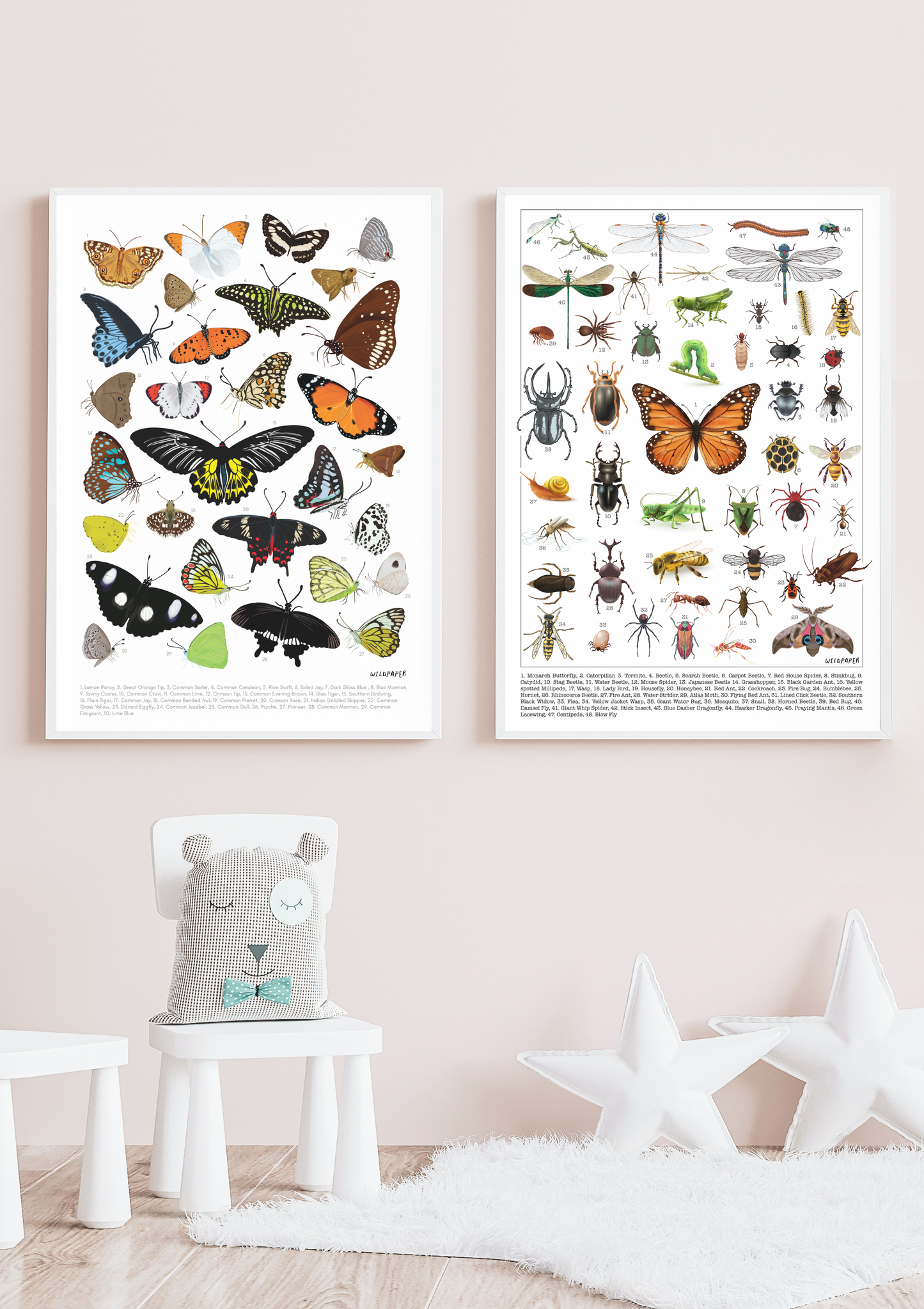 Backyard Butterflies & Creepy Crawly - Non Tearable Poster Combo