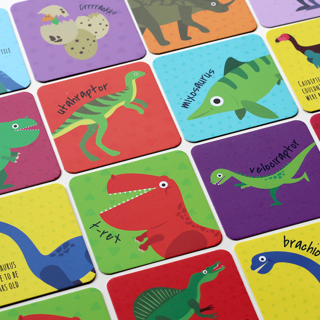 Catch Me If You Can Early Learning Cards