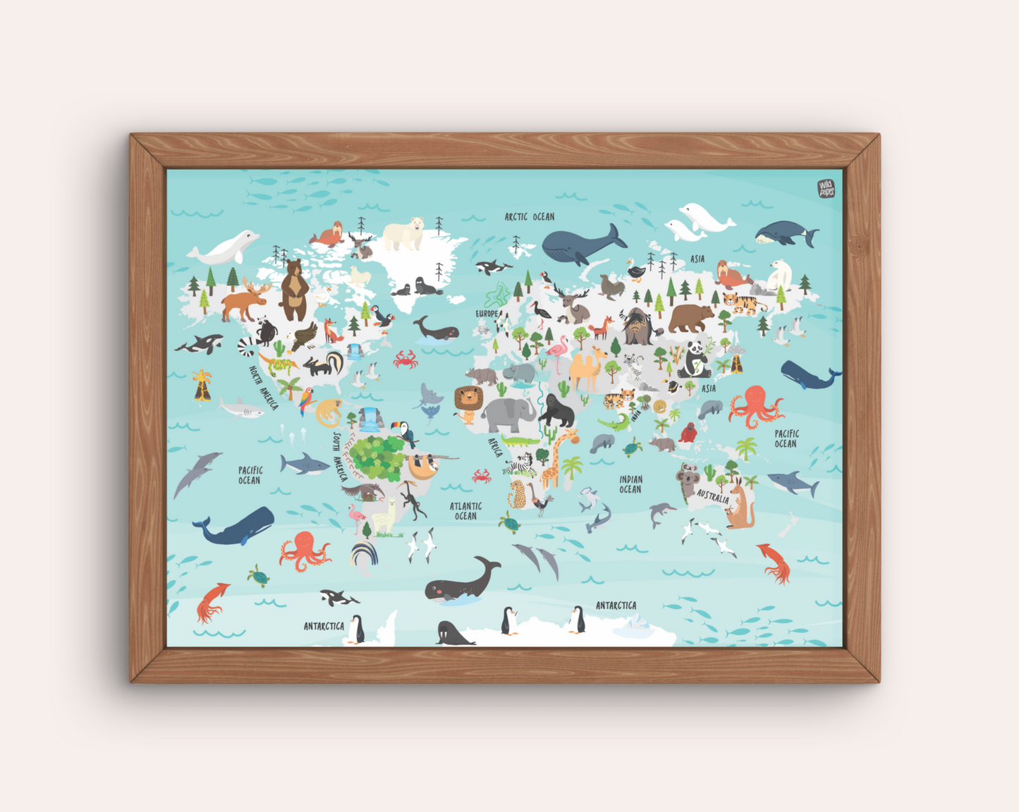 My Amazing Earth - Biodiversity World Map with FREE A3 Poster