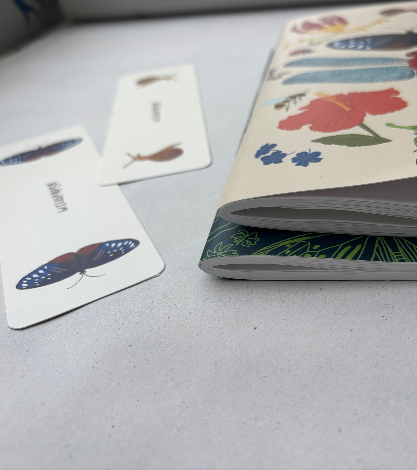 An Indian garden collection (Set of 2)