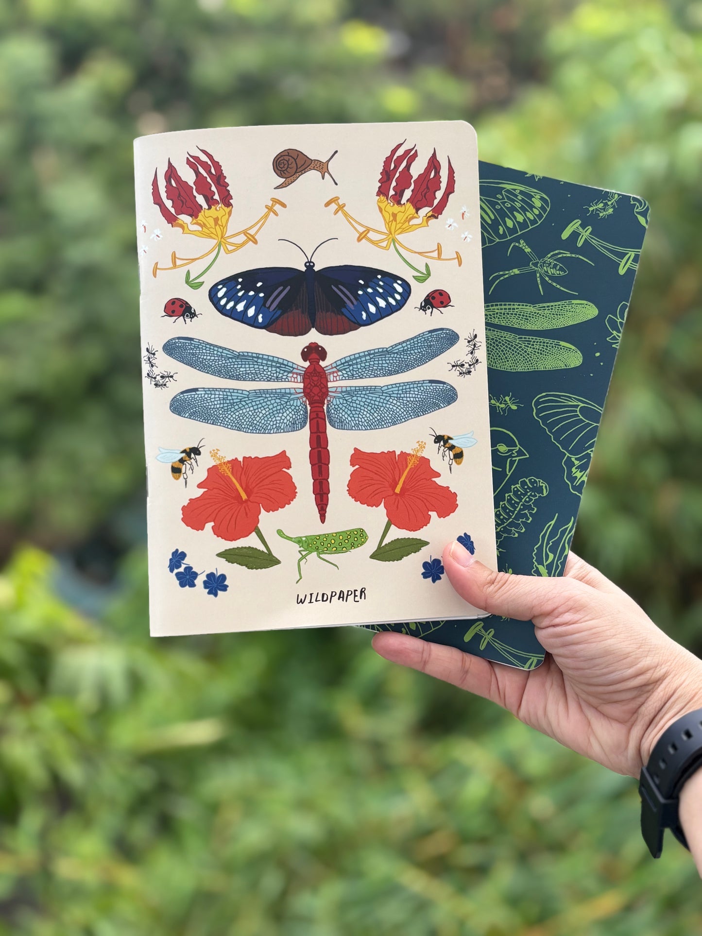 An Indian garden collection (Set of 2)