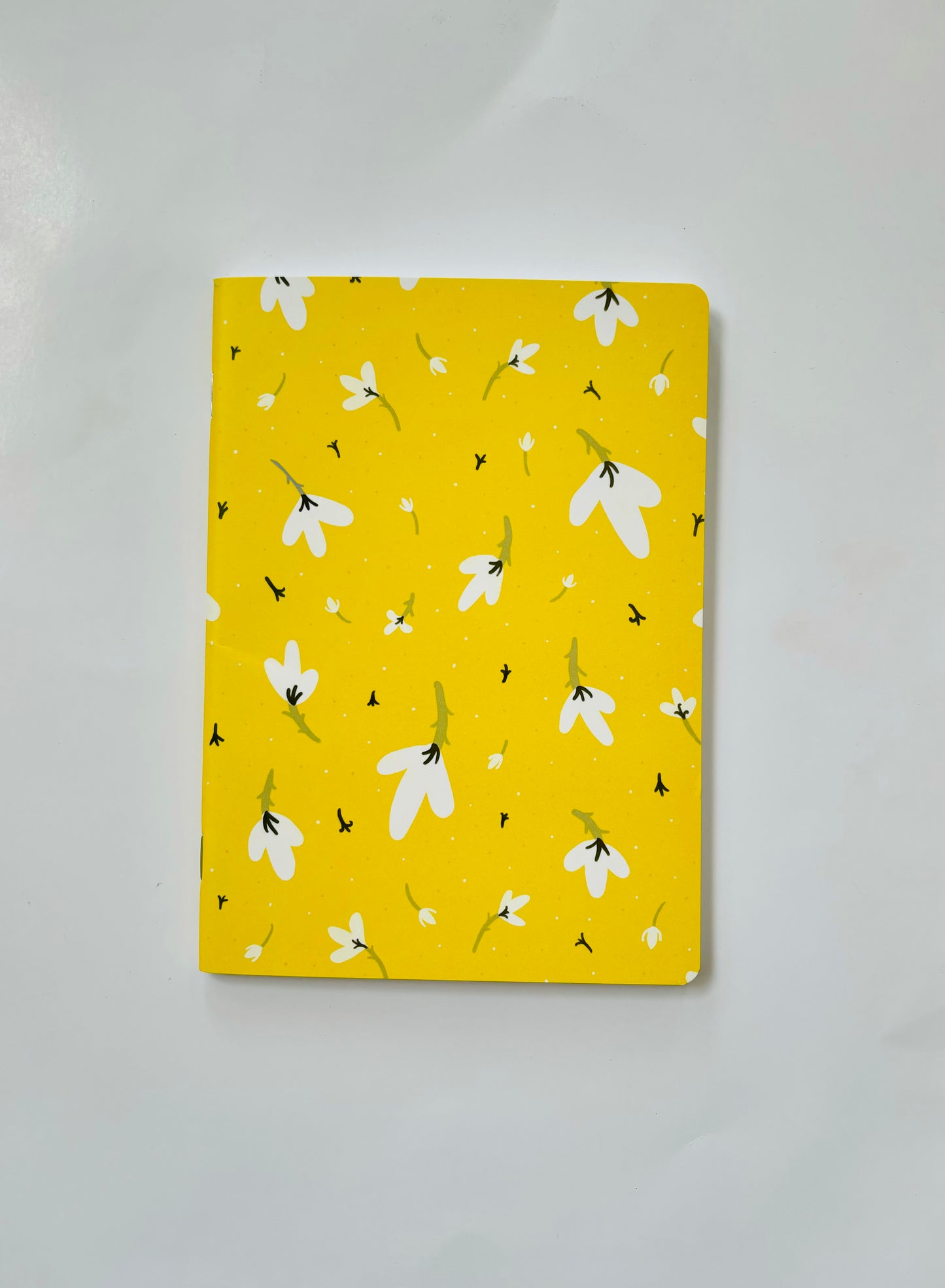 Everyday notebooks (Set of 2)