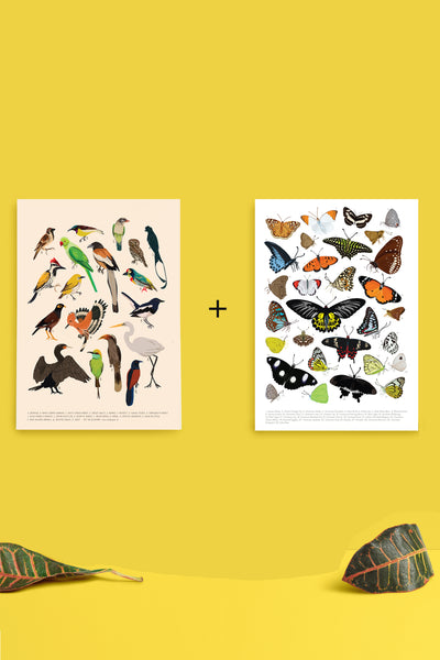 Backyard Birds & Butterflies - Non Tearable Poster Combo