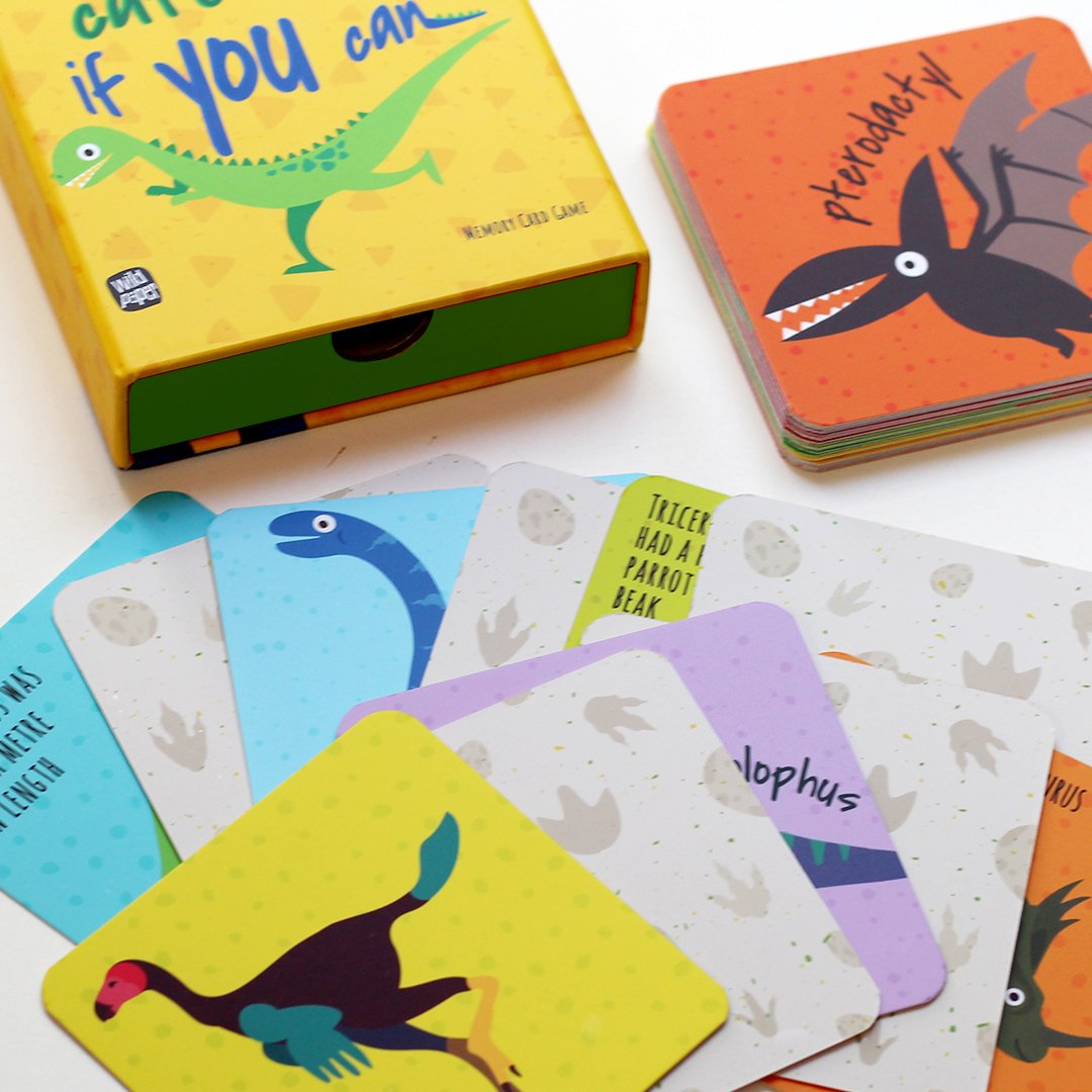 Catch Me If You Can Early Learning Cards