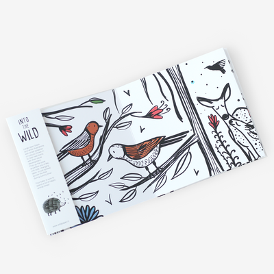 Into the Wild Foldout Book