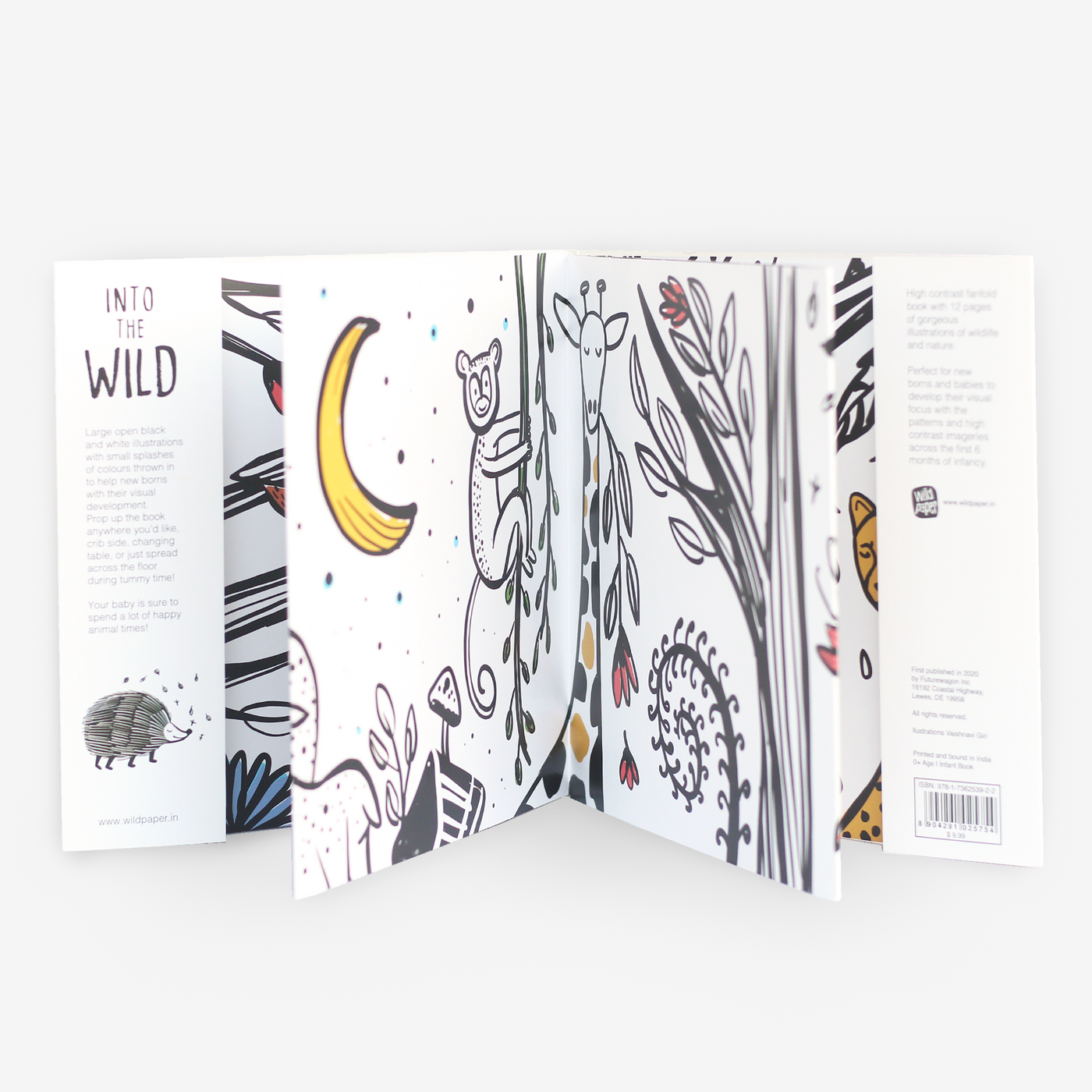Into the Wild Foldout Book