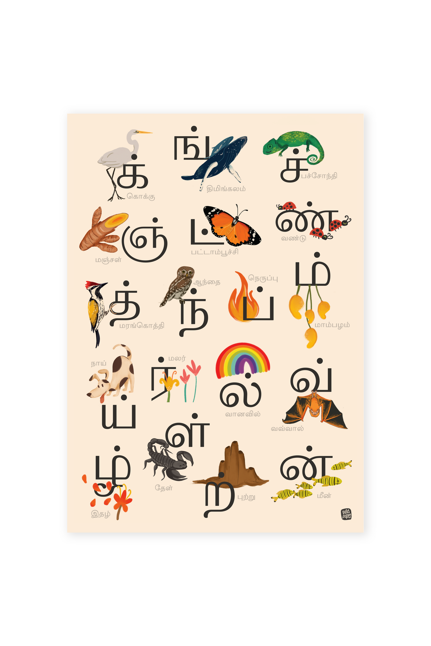 Tamil Arichuvadi Posters - Uyir and Mei Ezhuthukkal