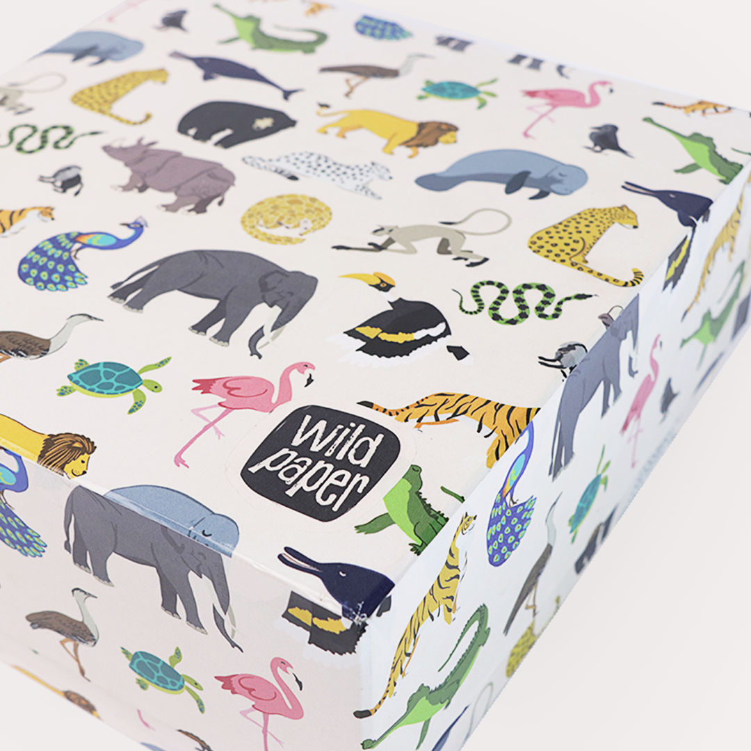 Welcome to the World Baby Gift Box Combo